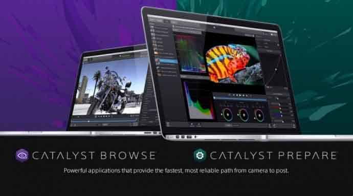 sony catalyst browse