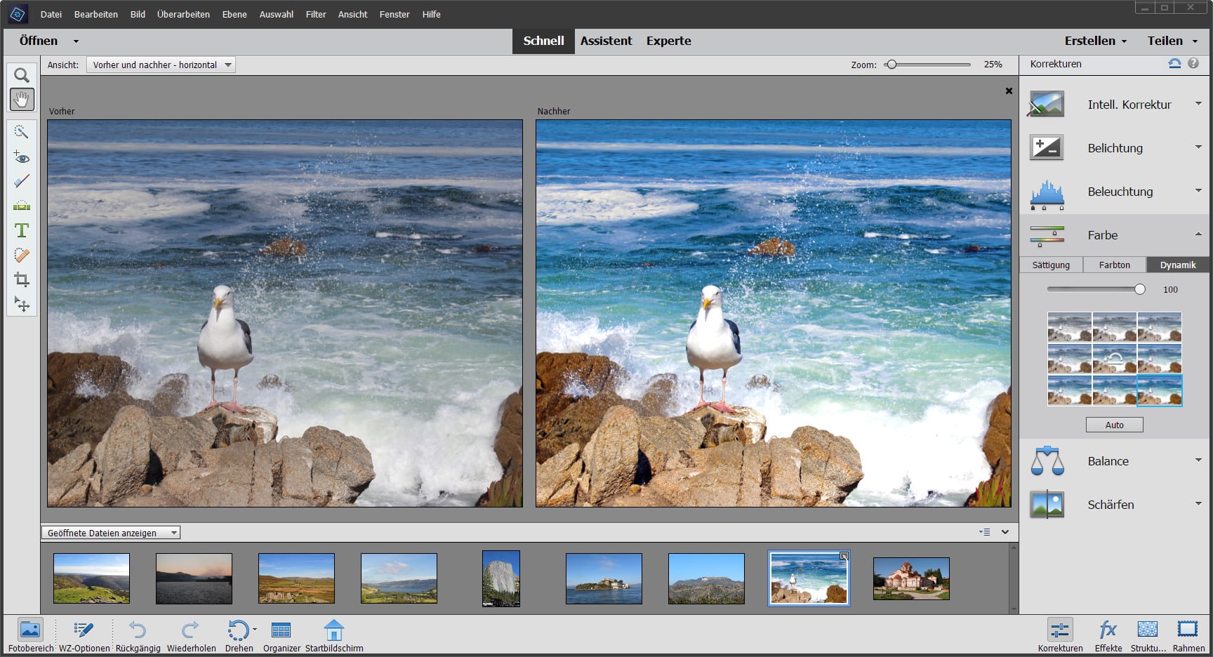 Adobe Photoshop Elements 2023 v21.0 Full