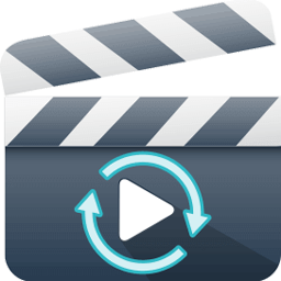 Renee Video Editor Pro