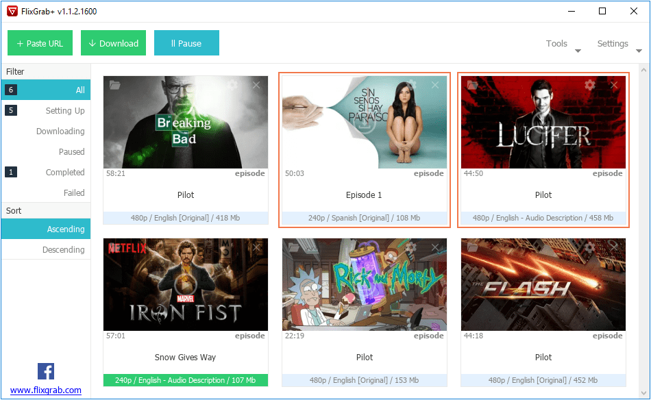 FlixGrab Plus Premium 1.6.21.1975 Full Download