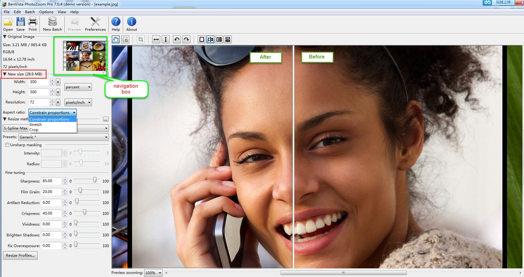 Benvista PhotoZoom Pro 8.2.0 Free Download